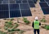 Avanzan las gestiones para instalar un moderno parque fotovoltaico en Sáenz Peña