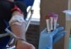 Argentina logró un avance clave para encontrar donantes de médula compatibles