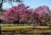 El esperado equinoccio retrasa el inicio de la primavera hasta el martes